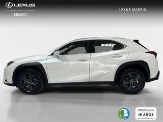Lexus UX 2.0 300h UX Plus