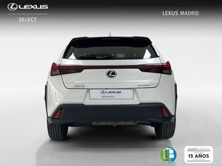 Lexus UX 2.0 300h UX Plus