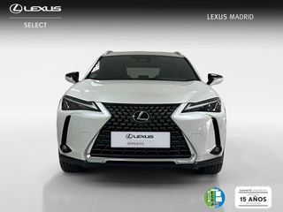 Lexus UX 2.0 300h UX Plus