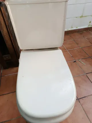 Conjunto Sanitarios Roca Dama: