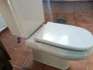 Conjunto Sanitarios Roca Dama: