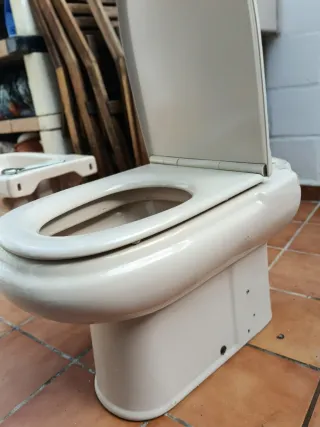 Conjunto Sanitarios Roca Dama: