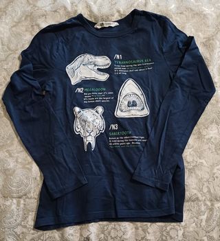 Camisola H&M Criança Dinossauros/Tubarão