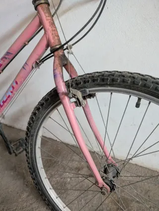 Bicicleta rosa para adulto