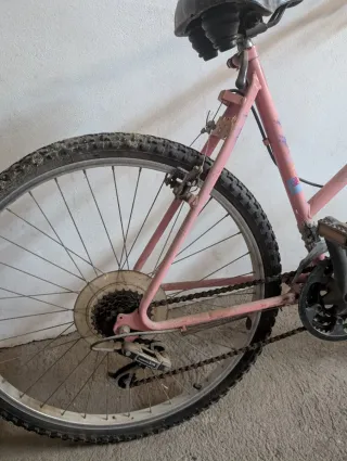 Bicicleta rosa para adulto