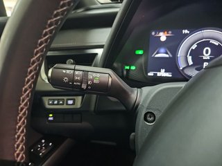 Lexus UX 300e Executive