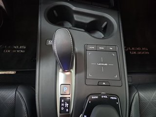 Lexus UX 300e Executive