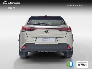 Lexus UX 2.0 300h UX Plus