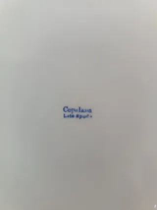 Fuente porcelana SPODE COPELAND antigua