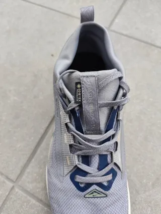 Zapatillas Nike Pegasus Trail 5 GTX GORE-TEX