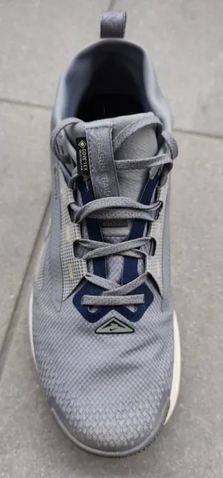 Zapatillas Nike Pegasus Trail 5 GTX GORE-TEX