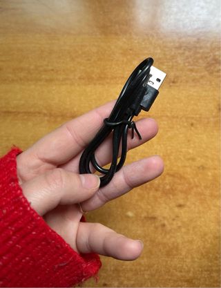 Aspirador Coche Negro