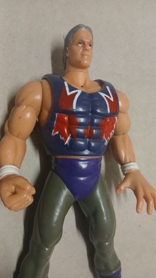 Action Figure Wrestling
