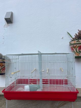 Jaula para pájaros 60 cm preguntar precio