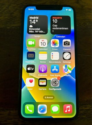 iPhone X 256GB Bat100% OTTIMO.