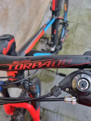 Bicicleta Montaña Torpado H20 Ribot Z