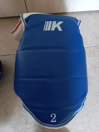 Protecciones Taekwondo Casco y Peto Azul