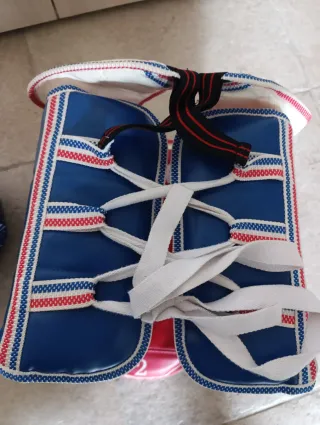 Protecciones Taekwondo Casco y Peto Azul