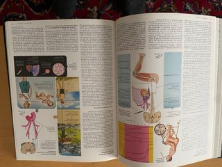 Lote  12 Tomos Colección Netter Ilustraciones