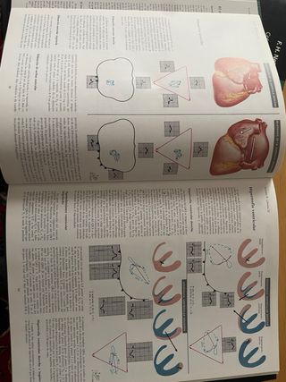 Lote  12 Tomos Colección Netter Ilustraciones