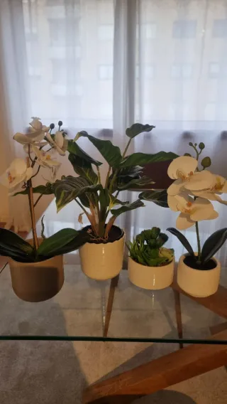 Plantas artificiais decorativas (conjunto)