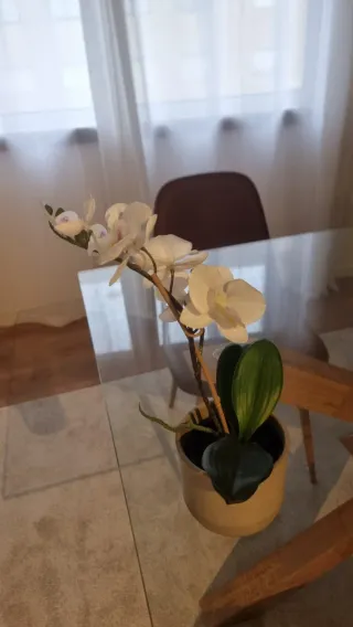 Plantas artificiais decorativas (conjunto)