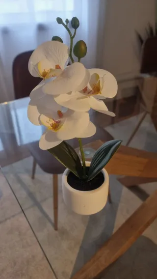 Plantas artificiais decorativas (conjunto)