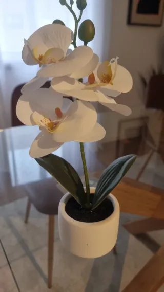 Plantas artificiais decorativas (conjunto)