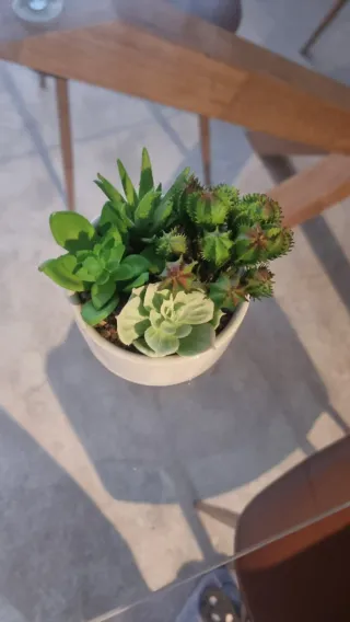 Plantas artificiais decorativas (conjunto)