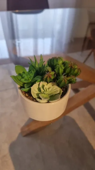 Plantas artificiais decorativas (conjunto)