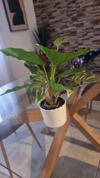 Plantas artificiais decorativas (conjunto)