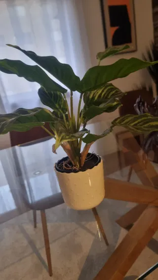 Plantas artificiais decorativas (conjunto)