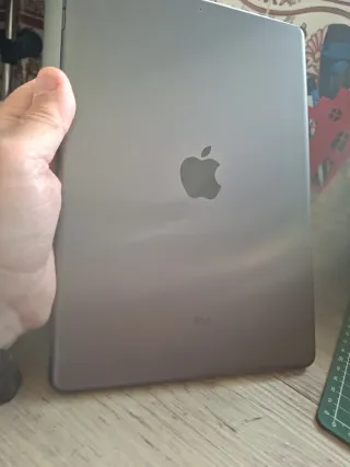 Apple iPad 9ª Gen Plata