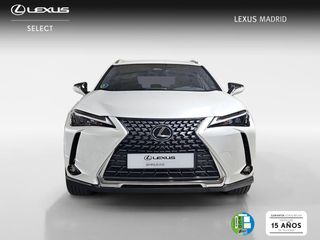 Lexus UX 2.0 300h UX Plus