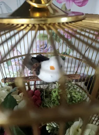 Jaula estilo Victoriano años 70