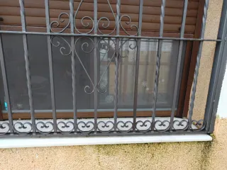 Reja de hierro forjado decorativa .