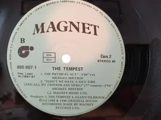 Vinilo The Tempest Didn't We Have A Nice Time?