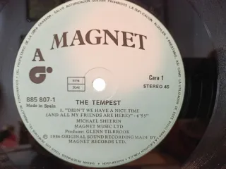 Vinilo The Tempest Didn't We Have A Nice Time?