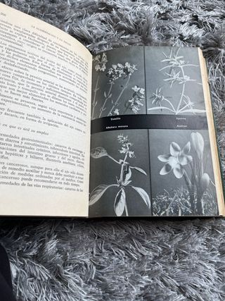 Libro coleccionista  La Alimentación y la Salud