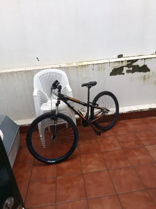 Bicicleta de montaña