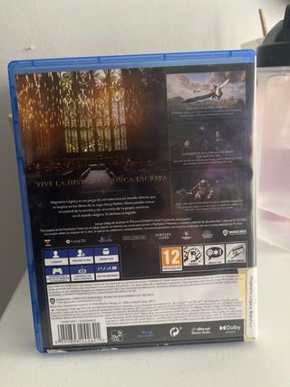 Hogwarts Legacy PS4 (PlayStation 4)