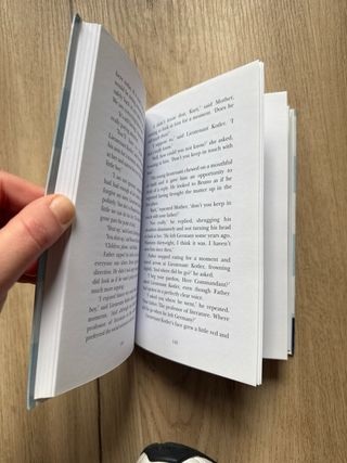 ROLLERCOASTERS:BOY IN STRIPED RDR