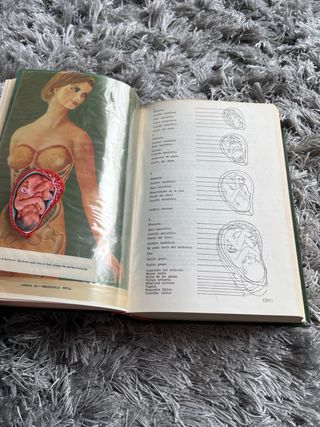 Libro de coleccionista La Madre y el Niño de 1974