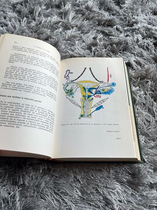 Libro de coleccionista La Madre y el Niño de 1974