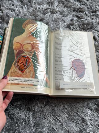 Libro de coleccionista La Madre y el Niño de 1974