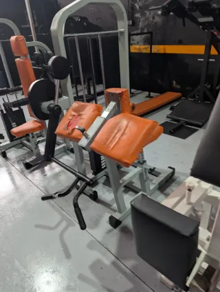 Liquidación máquina Curl Predicador Gimnasio