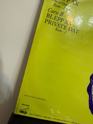 Vinilo Techno Spin Blepp XX