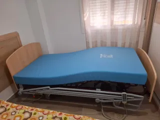 Cama ortopédica