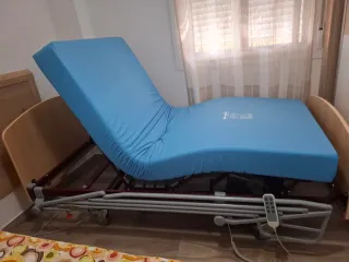 Cama ortopédica