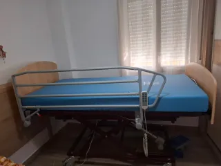 Cama ortopédica